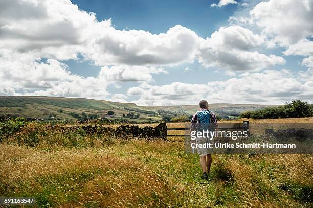 tourist with bagpack walking through meadows - scena rurale foto e immagini stock