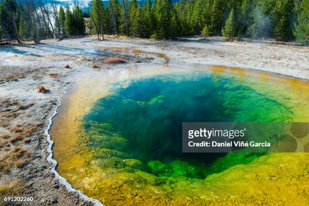 morning glory pool, hot spring, upper geyser basin, yellowstone national park - grand prismatic spring stock pictures, royalty-free photos & images
