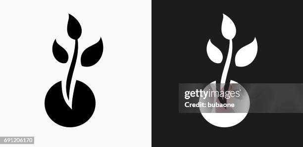 illustrazioni stock, clip art, cartoni animati e icone di tendenza di icona crescita delle piante su sfondi vettoriali in bianco e nero - piantina di semenzaio