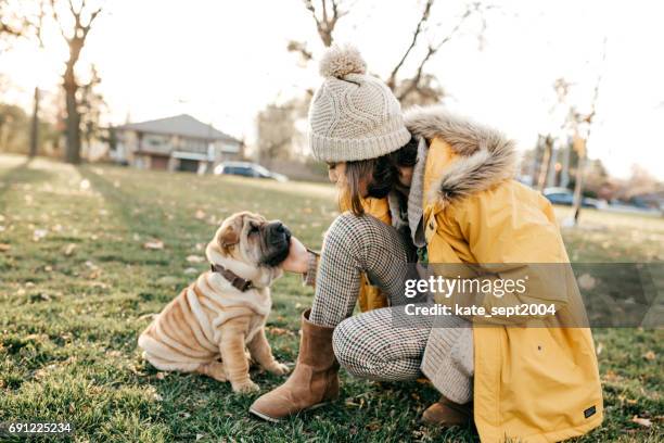 spaziergang mit hund - shar pei stock-fotos und bilder