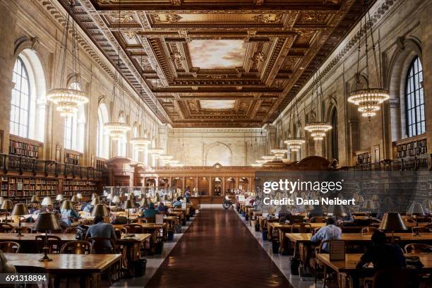 people reading at the new york public library - learning stock pictures, royalty-free photos & images