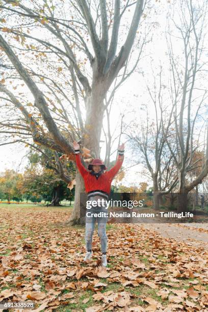 a young chinese woman playing with autumn leaves - green and red autumn leaves australia stock pictures, royalty-free photos & images