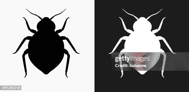 bedbug icon on black and white vector backgrounds - bed bug white background stock illustrations