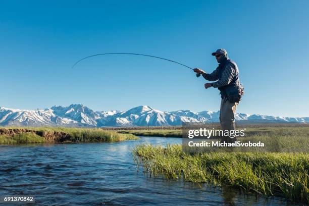 volar a los pescadores a lo largo de la secuencia de la montaña de primavera - fly fishing fotografías e imágenes de stock
