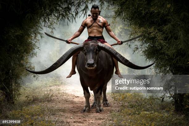 thailand warrior man swords hands in thai traditional dress - water buffalo stock pictures, royalty-free photos & images