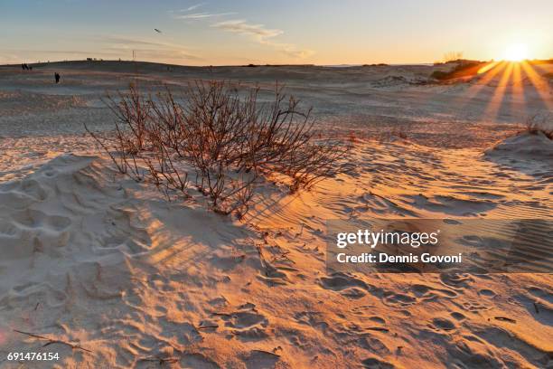 jockey ridge dunes - kitty hawk beach stock pictures, royalty-free photos & images