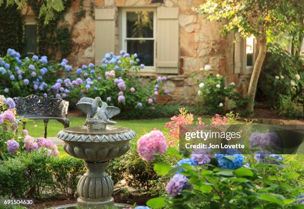 hydrangeas surrounding a bird bath - fountain stock pictures, royalty-free photos & images
