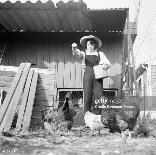 Jeune femme donnant à manger aux poules et coqs dans une ferme en France en 1952.