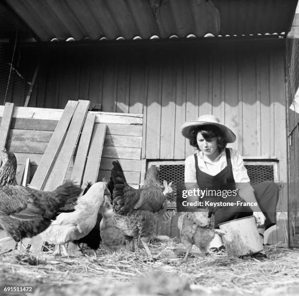 Jeune femme donnant à manger aux poules et coqs dans une ferme en France en 1952.