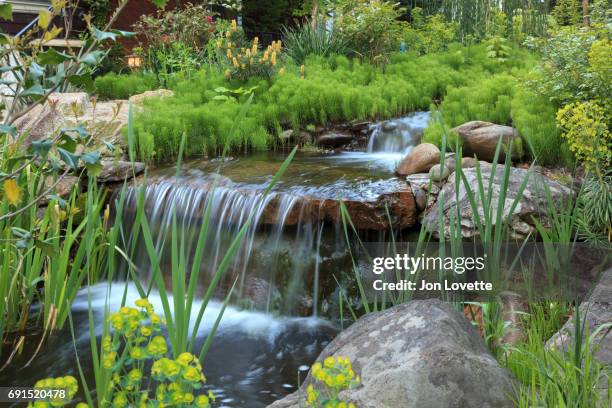 backyard waterfall with lush gardens - water garden stock pictures, royalty-free photos & images