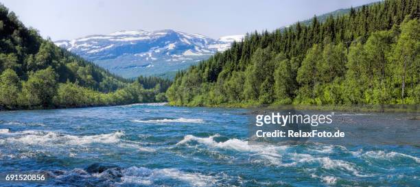 mighty river in wilderness area of norther norway - river rapids stock pictures, royalty-free photos & images