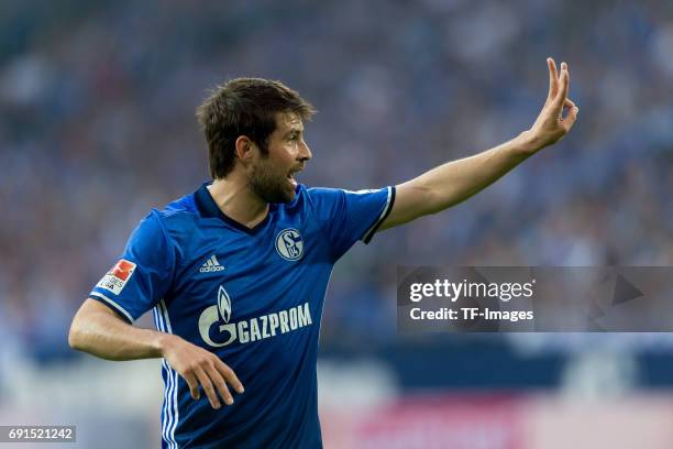 Coke of Schalke gestures during to the Bundesliga match between FC Schalke 04 and Hamburger SV at Veltins-Arena on May 13, 2017 in Gelsenkirchen,...