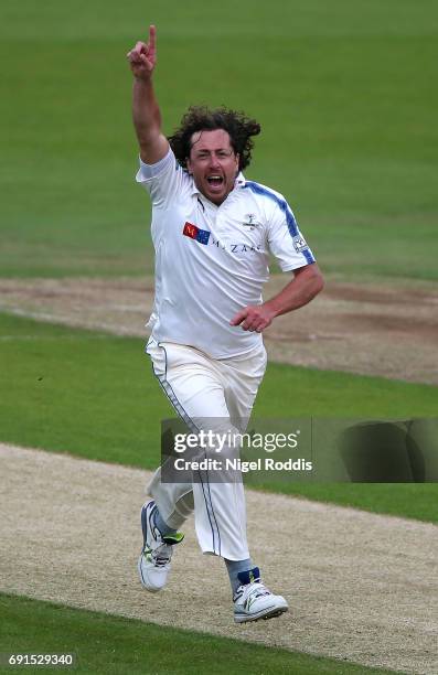 Ryan Sidebottom of Yorkshire celebrates taking the wicket of Alex Davies of Lancashire during Day One of the Specsavers County Championship Division...