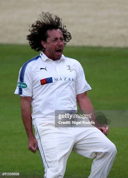 Ryan Sidebottom of Yorkshire celebrates taking the wicket of Luke Proctor of Lancashire during Day One of the Specsavers County Championship Division...