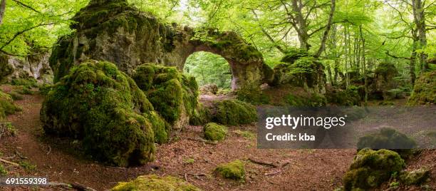 laberinto de arno - entzia - olympic peninsula stock pictures, royalty-free photos & images