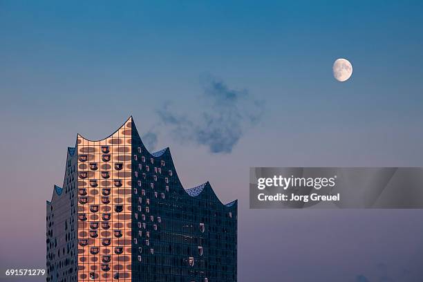 elbphilharmonie at dusk - hamburg stock-fotos und bilder