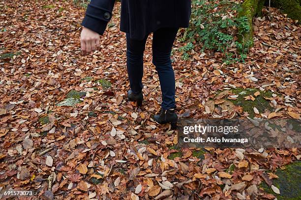 a woman walking in the forest - akio iwanaga 個照片及圖片檔