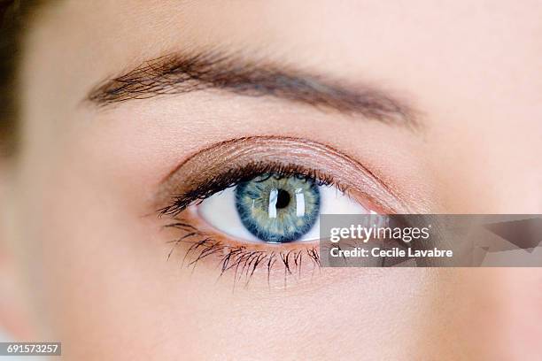 woman's eye, close-up - blue eyes fotografías e imágenes de stock