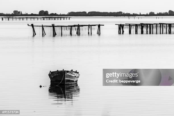 mussel cultivation - cibi e bevande stock pictures, royalty-free photos & images