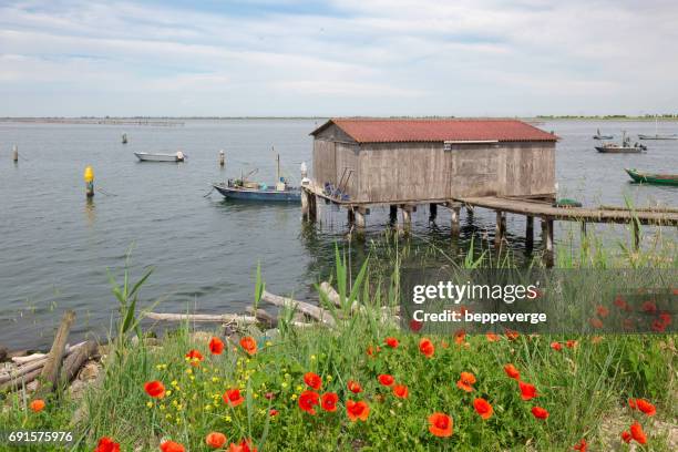 fishing shack - cibi e bevande stock pictures, royalty-free photos & images