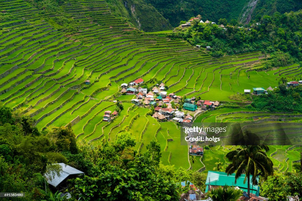 Batad Rice Terraces near Banaue, Philippines