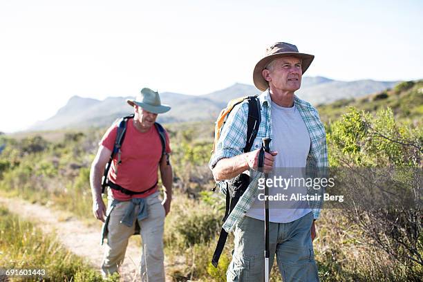 senior men exercising outdoors - hiking pole stockfoto's en -beelden