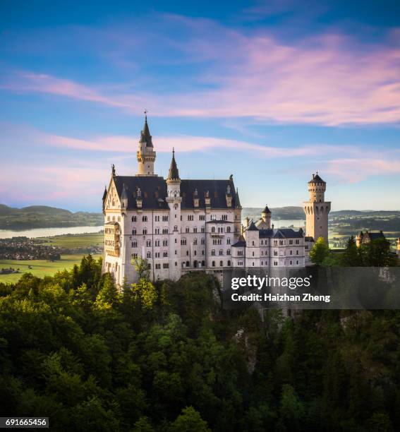 castillo de neuschwanstein, baviera, alemania - neuschwanstein castle fotografías e imágenes de stock