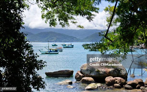 walking around ubatuba. - ubatuba stock pictures, royalty-free photos & images