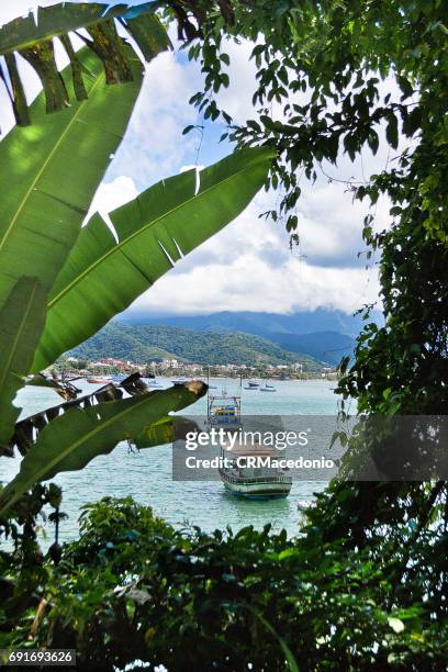 walking around ubatuba. - crmacedonio fotografías e imágenes de stock