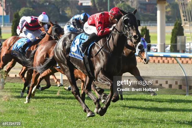 Greviste ridden by Beau Mertens wins the ADAPT Australia Handicap at Moonee Valley Racecourse on June 03, 2017 in Moonee Ponds, Australia.