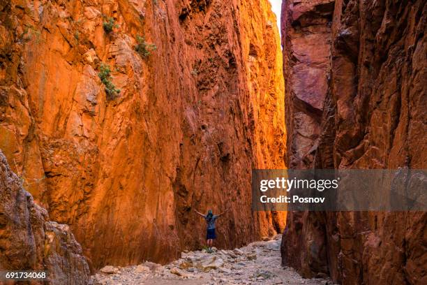 standley chasm at west macdonnell ranges - outback australia stock pictures, royalty-free photos & images