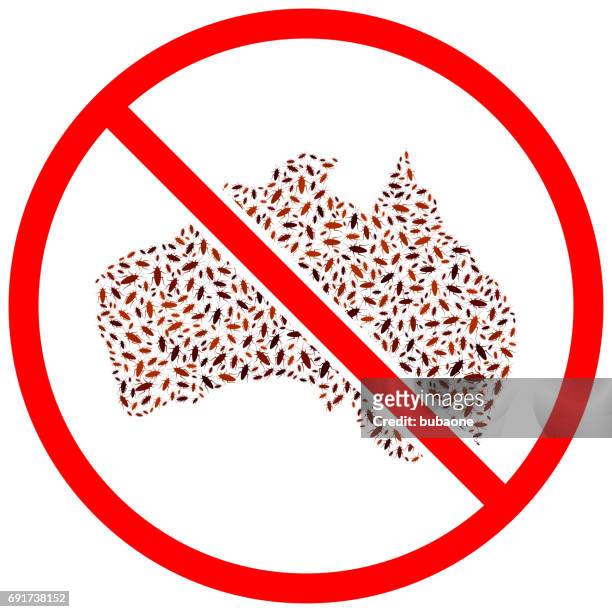 australia no cockroaches pest control  vector icons background - introduced species stock illustrations