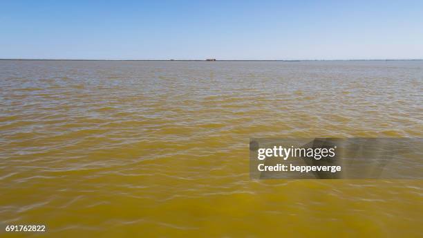 valli di comacchio - laguna di venezia stock pictures, royalty-free photos & images