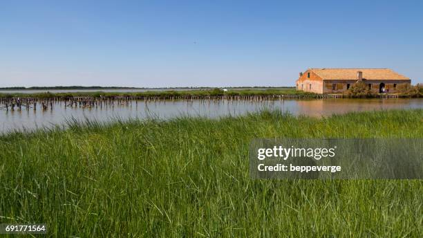 valli di comacchio - i casoni - luogo d'interesse stockfoto's en -beelden