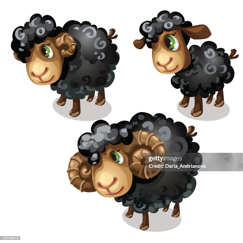 Black Sheep Vector Animal In Cartoon Style High-Res Vector Graphic - Getty  Images