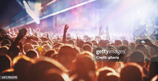 juichende menigte tijdens een concert. - festival stockfoto's en -beelden