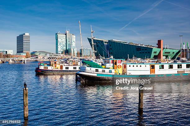 amsterdam - nemo stock pictures, royalty-free photos & images