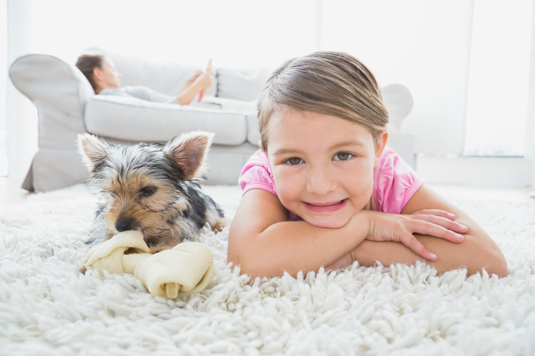Yorkshire Terrier with children