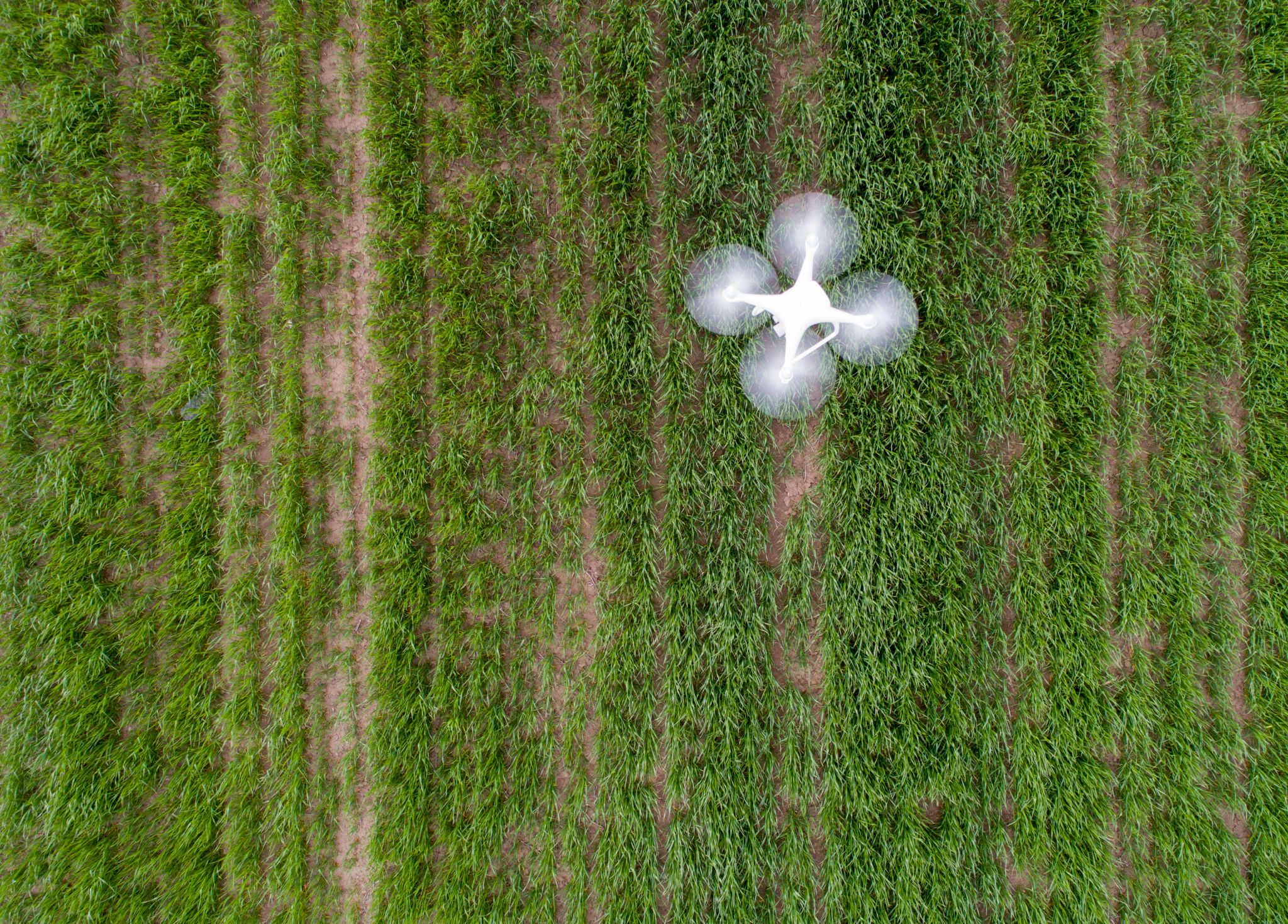 aerial photography drone