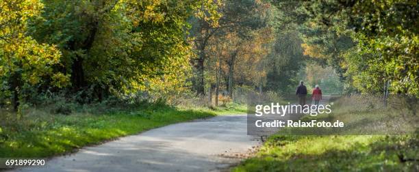對年長的夫婦在森林的小徑上走在秋天的後視圖 - persona de color 個照片及圖片檔