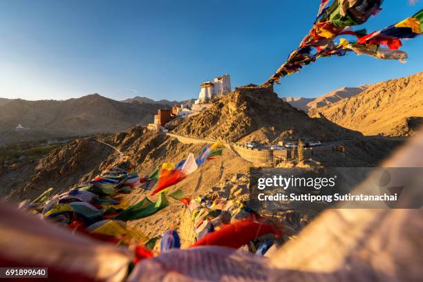 prayer tibetan flags and the namgyal tsemo monastery with mountain background in leh, ladakh - distrikt leh photos et images de collection