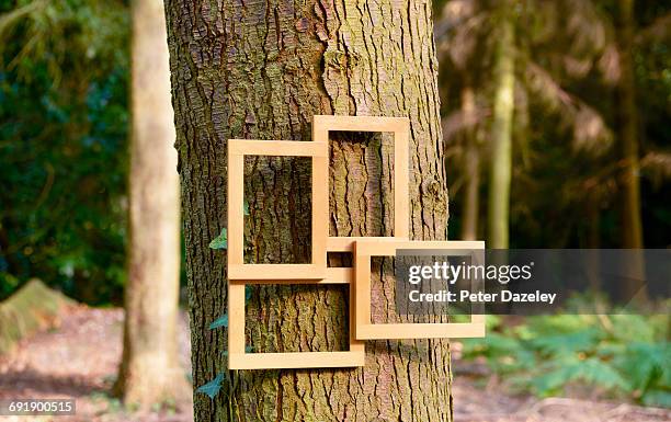 empty picture frames on a tree trunk on a wood - installationskunst stock-fotos und bilder
