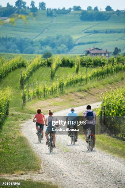 familievakantie in langhe regio piemonte: elektrische fietsen reis in de heuvels - asti stockfoto's en -beelden