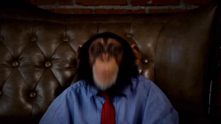 121,435 Funny Videos and HD Footage - Getty Images 121,435 Funny Videos and HD Footage - Getty Images