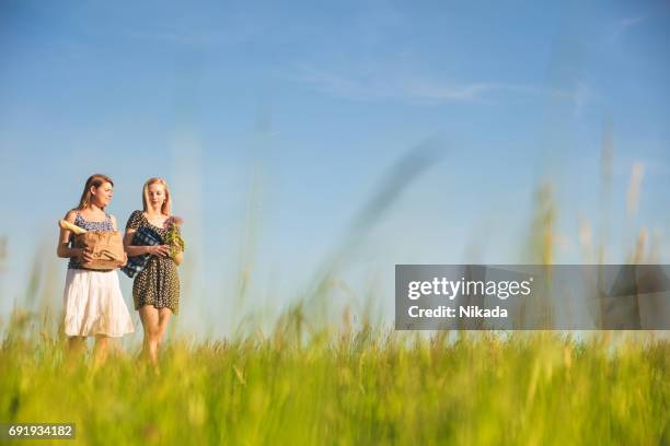 amies parler tout en marchant sur un terrain gazonné sur ciel bleu - blue sky friends photos et images de collection