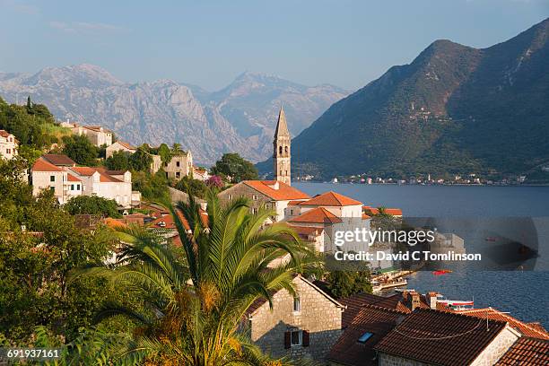 view over rooftops from hillside, perast, kotor - kotor bay 個照片及圖片檔