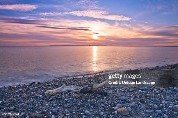 washed up - prestwick stock pictures, royalty-free photos & images