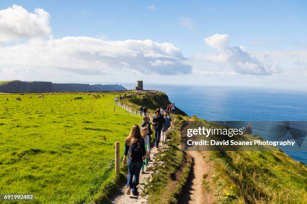 cliffs of moher in county clare, ireland - ireland vacation stock-fotos und bilder