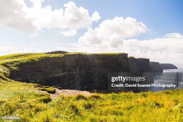 cliffs of moher in county clare, ireland - david cliff stock pictures, royalty-free photos & images