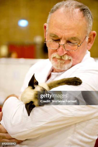 Cats are judged at Merseyside Cat Club Championship show at Sutton Leisure Centre on June 3, 2017 in St Helens, England.